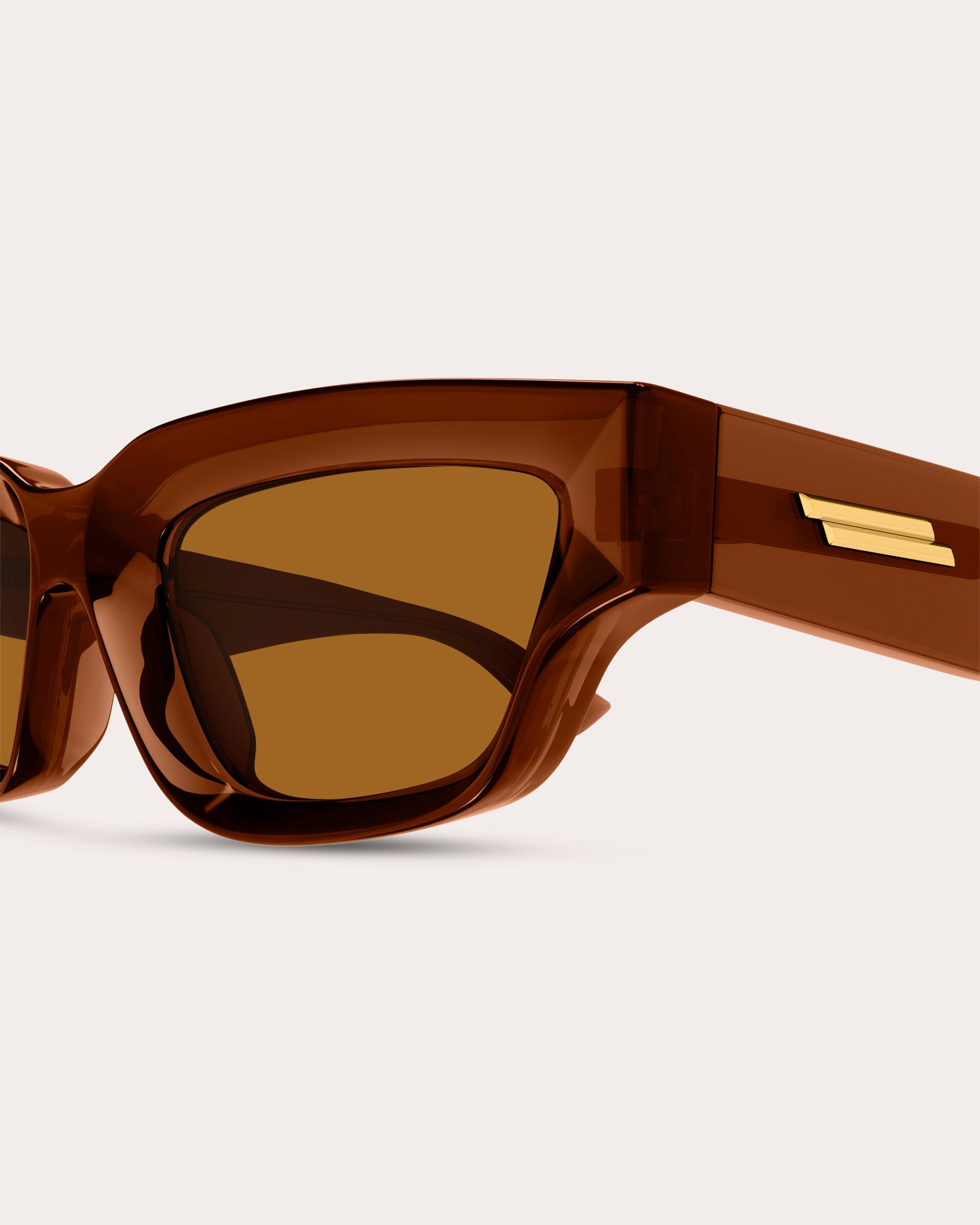 Transparent Brown Edgy Cat-Eye Sunglasses
