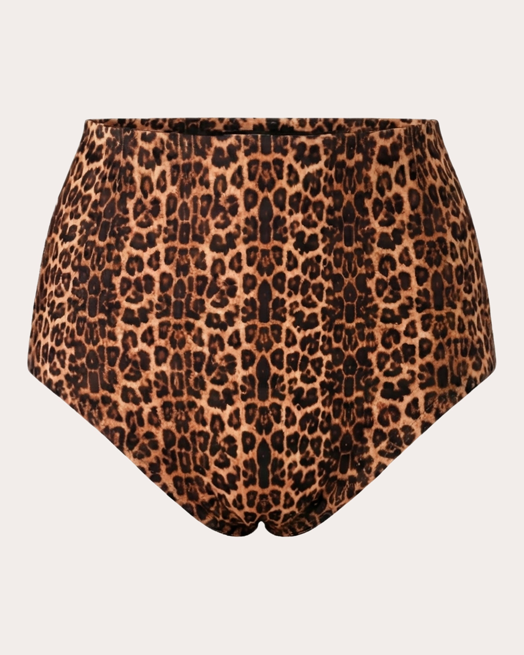 Banes Leopard High-Rise Bikini Bottoms