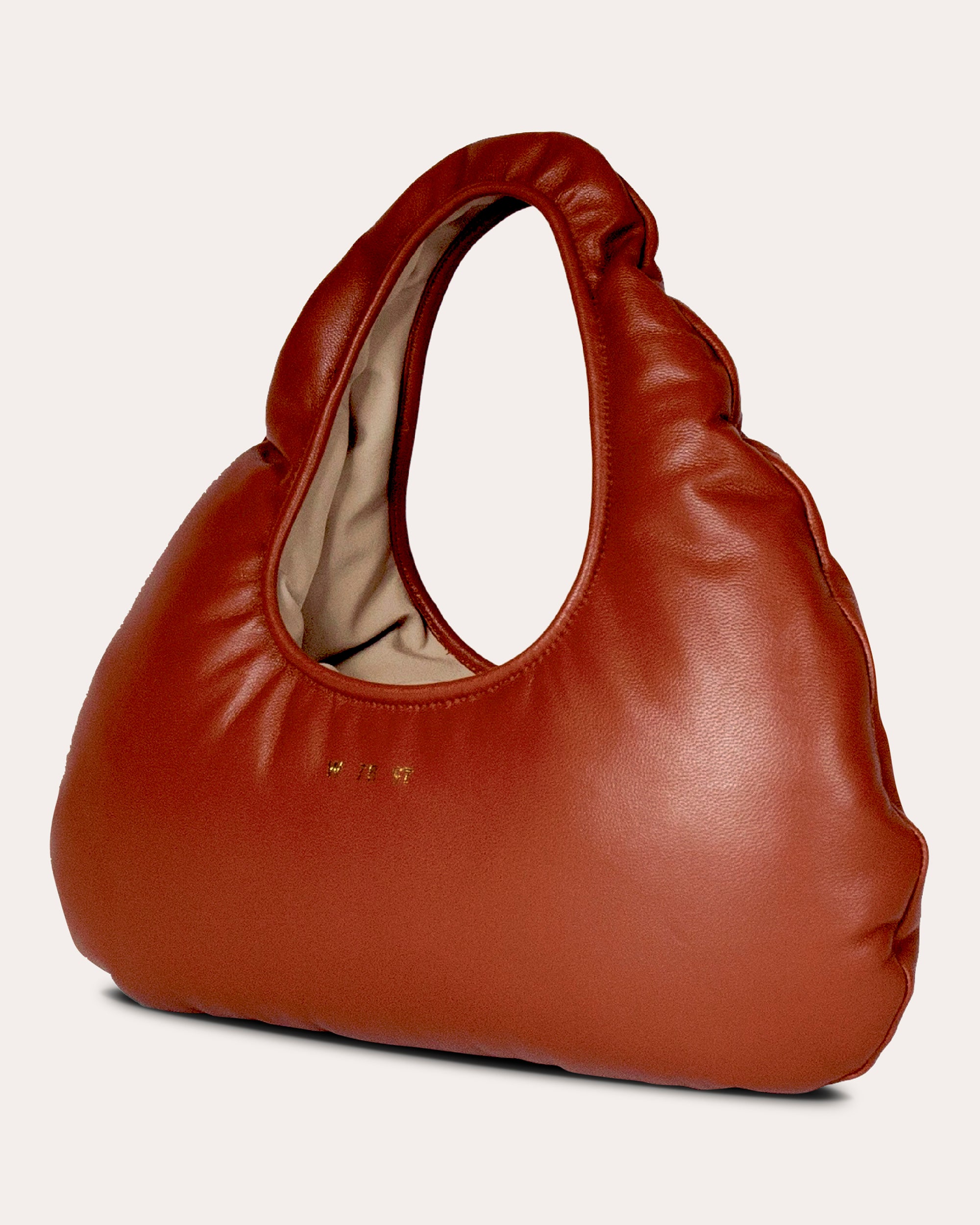 Micro Cloud Leather Tote
