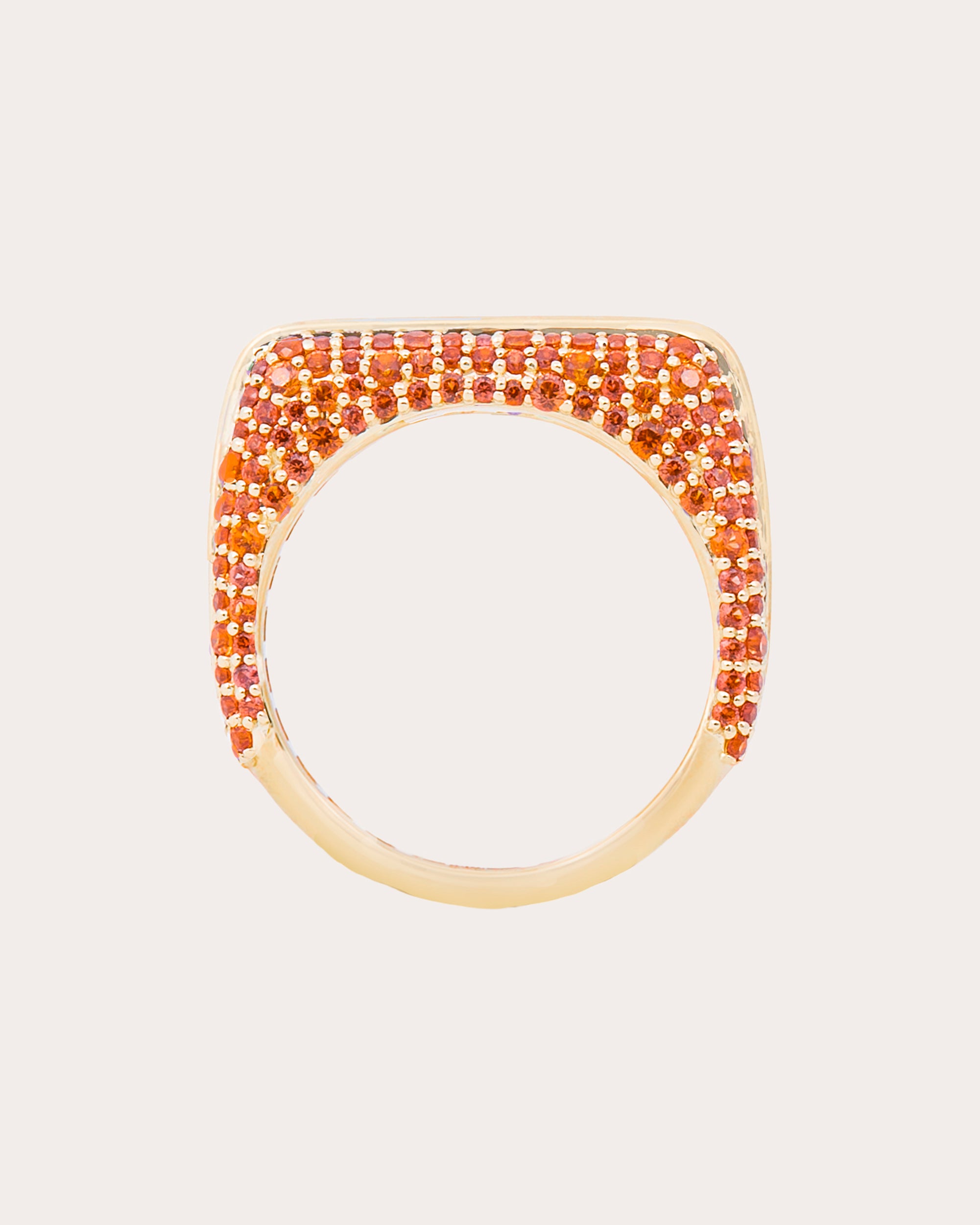 Multicolor Sapphire Found Rib Curve Band Ring