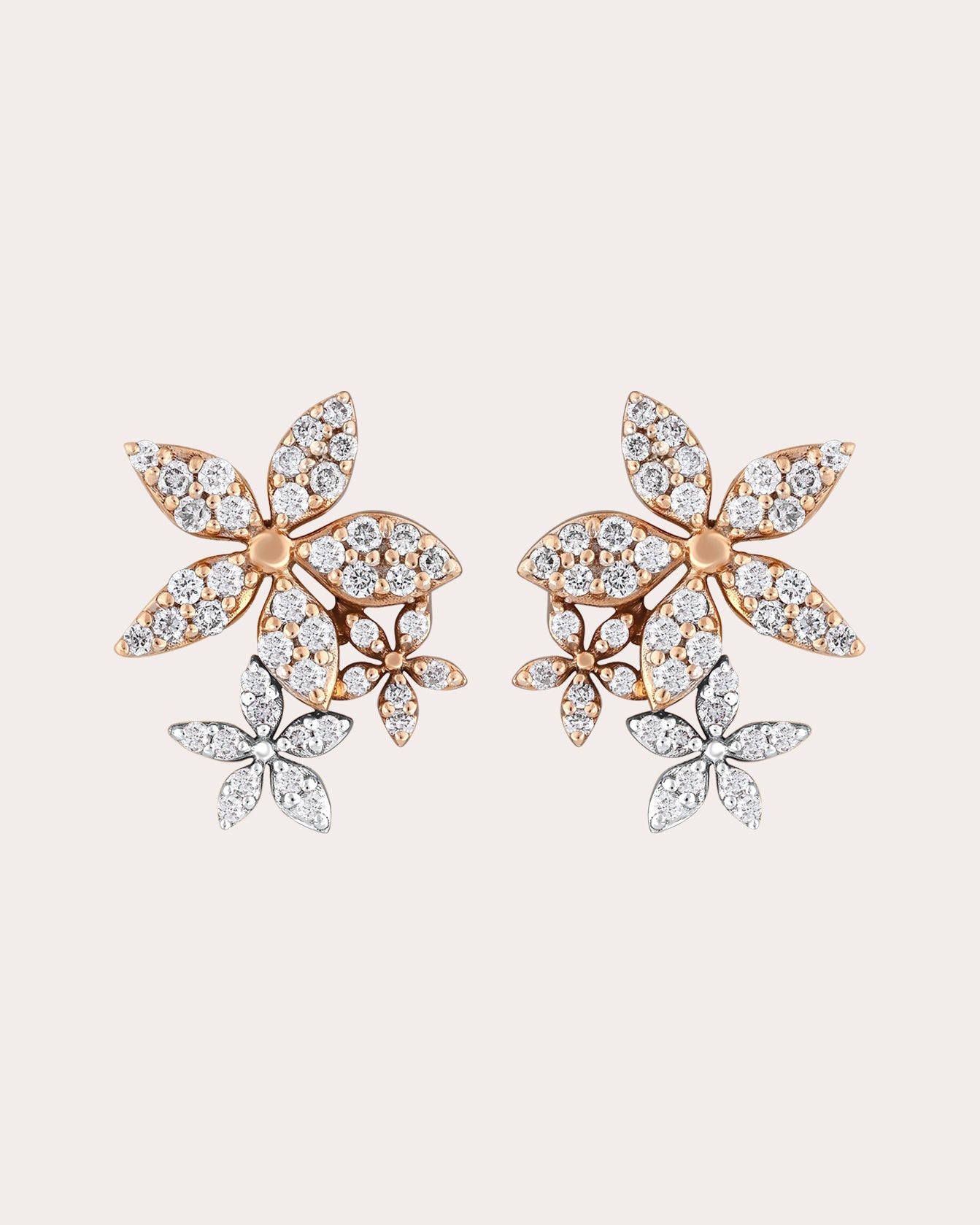 Diamond Apple Seed Tara Stud Earrings