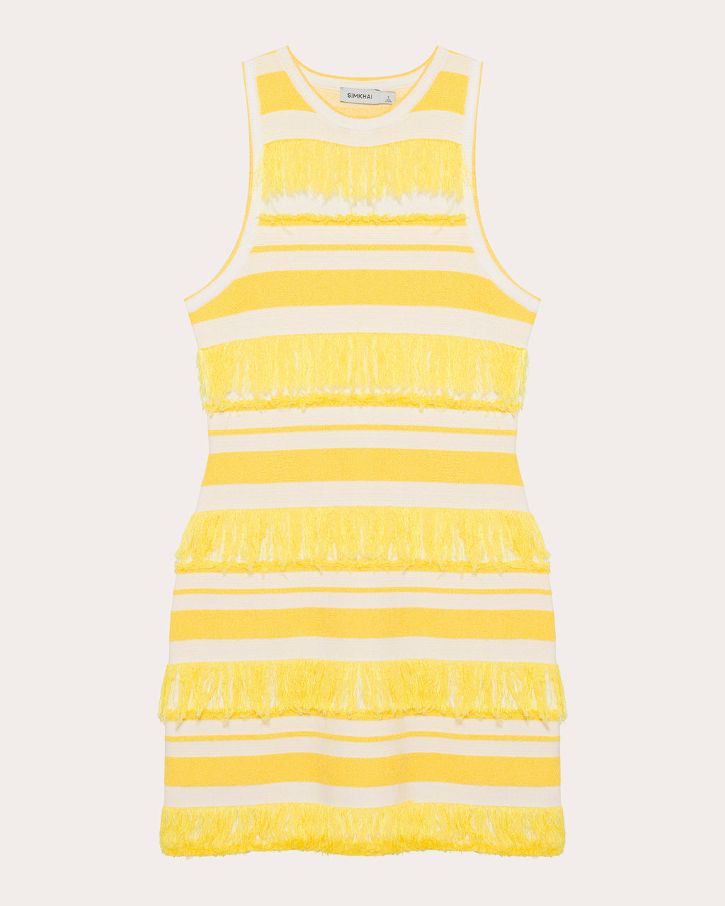 Elly Stripe Knit Fringe Sleeveless Mini Dress