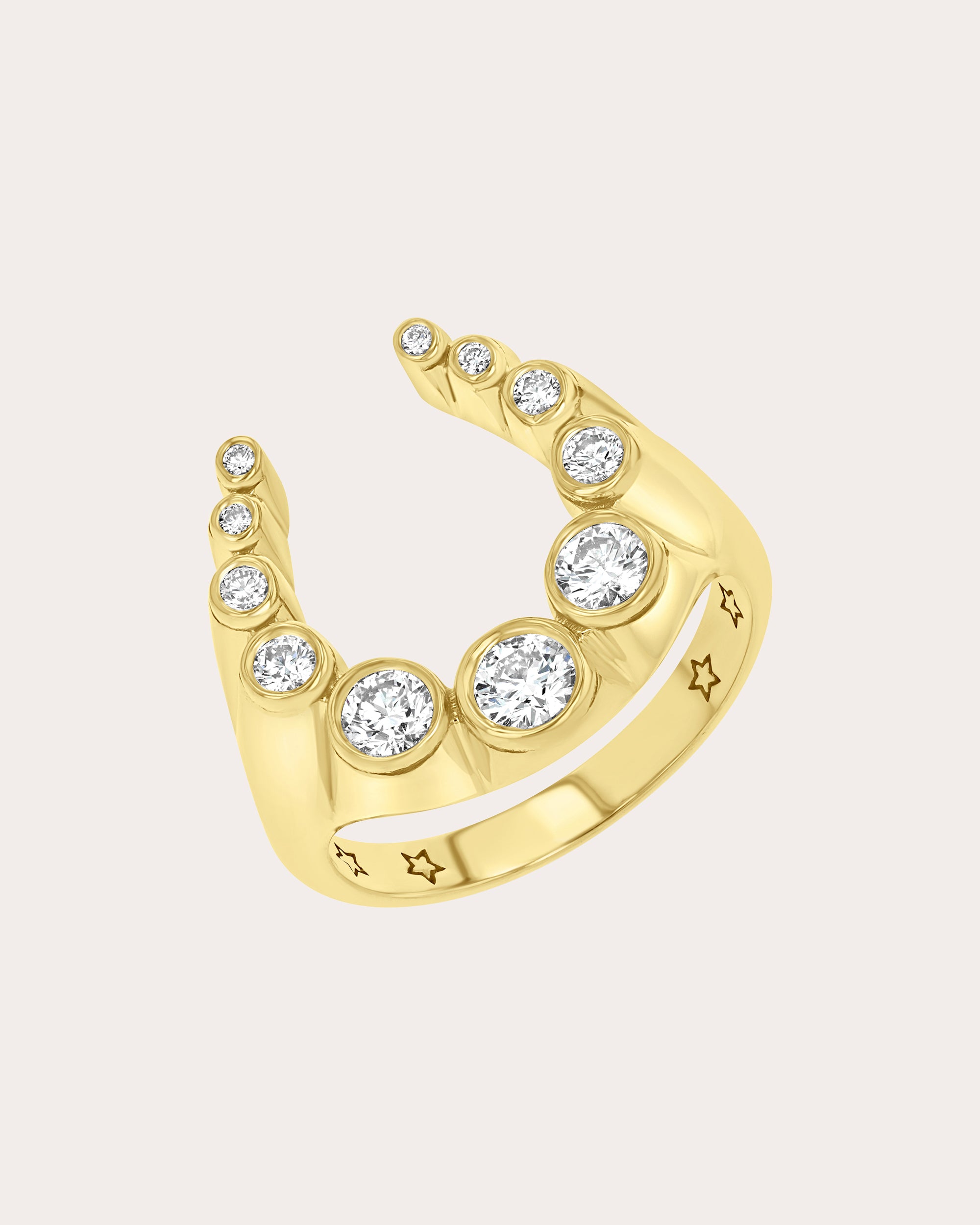 Diamond & 14k Gold Lucky Charm Ring