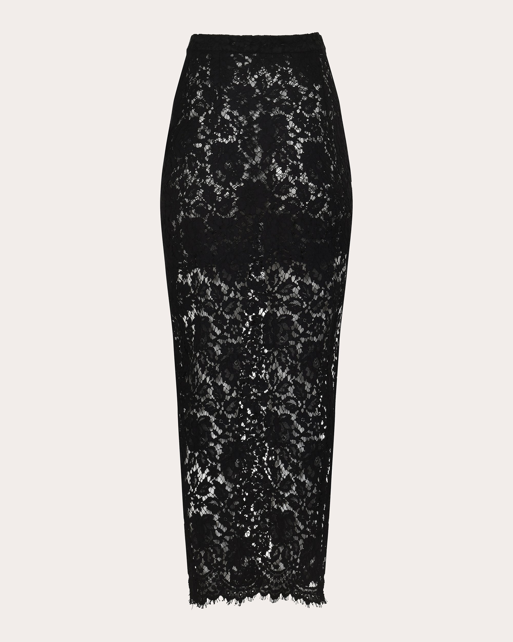 Siena Sheer Lace Maxi Skirt