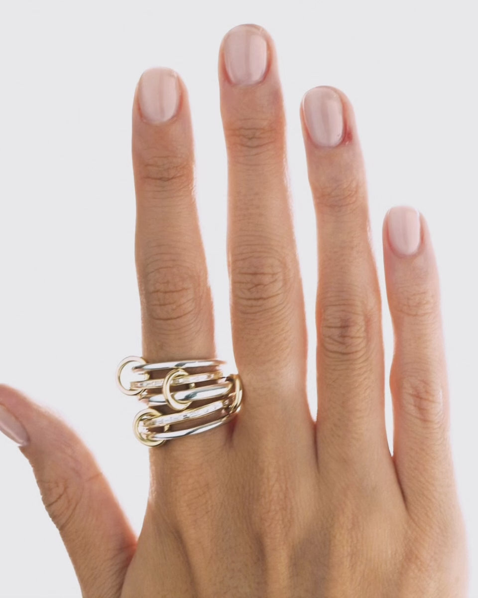 Diamond & 18k Gold Two-Tone Salix Ring
